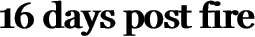 16 days post fire