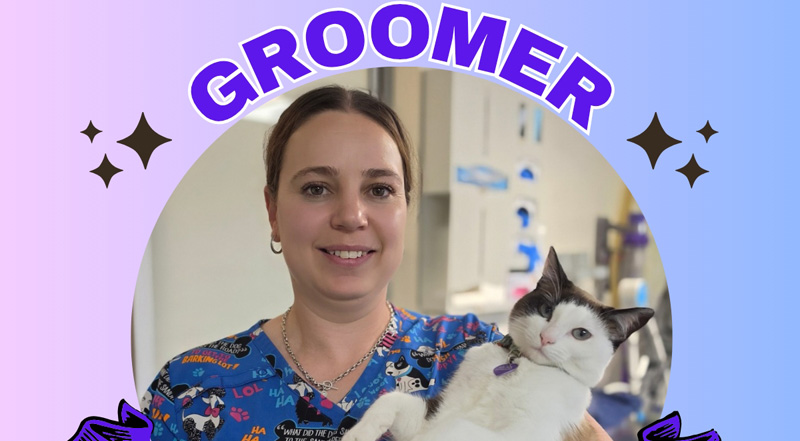 Staff awards – 2026