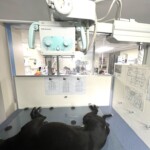 Shimadzu MUX10 Xray
