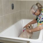 Grooming Bath