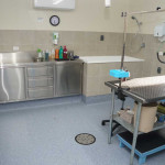 Whyalla’s only purpose built pet grooming centre. Open Monday to Saturday with five groomers