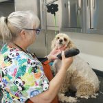 Enjoying Grooming