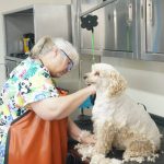 Enjoying Grooming