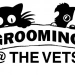 Grooming @ THE VETS