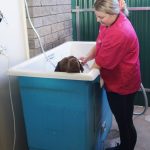 Hydro bath