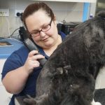 Suzi Grooming
