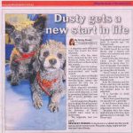 Dusty new start