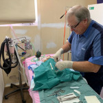 Andrew Performing Surgery