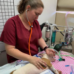 Corrina Administering Anaesthetic