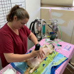 Corrina Clipping