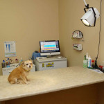 Consult room