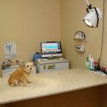Consult room