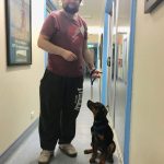 Moose walks