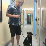 Tilly walks
