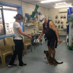 Stephanie demonstrates sit training