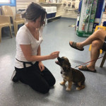 Stephanie shows wait training