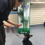 Training to sit