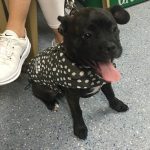 Training to wait