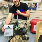 Diesel Graduates