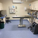 Flooring now complete