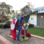 Dress up the dog competition” for Christmas