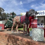 Dress up the dog competition” for Christmas