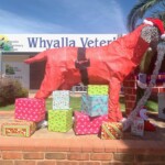 Dress up the dog competition” for Christmas