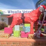 Dress up the dog competition” for Christmas