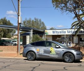 Tesla out front of clinic