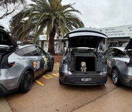 All cars are equiped with the latest in secure comfortable transport cages for pets.