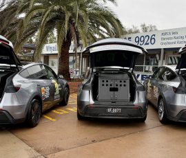 All cars are equiped with the latest in secure comfortable transport cages for pets.